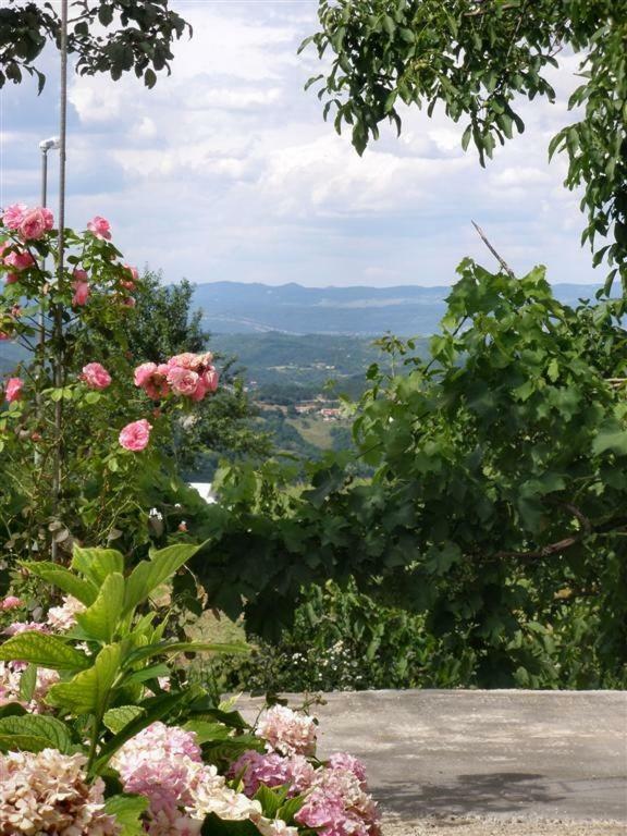 Apartman Vojskovic Gracisce Luaran gambar